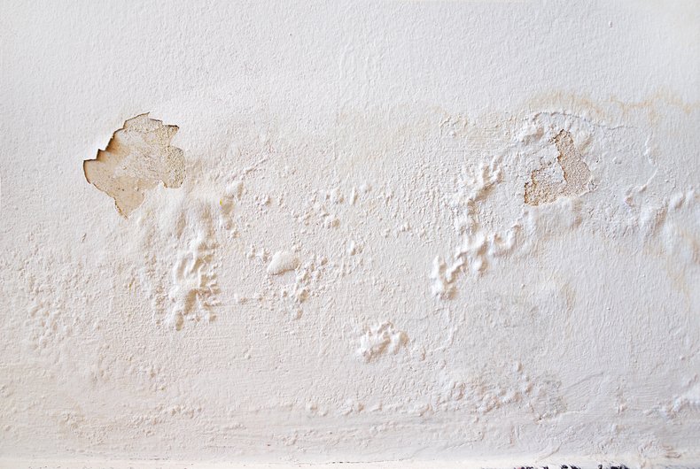 Signs my property has penetrating damp 