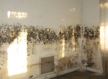 Is your home at risk of damp?