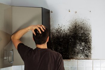 Common Causes of Damp in UK Homes (And How to Fix Them)