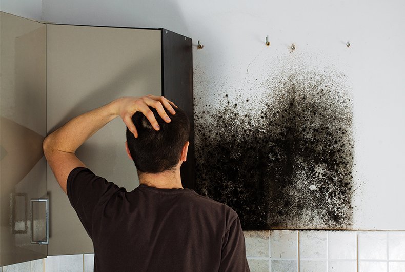 Common Causes of Damp in UK Homes (And How to Fix Them)
