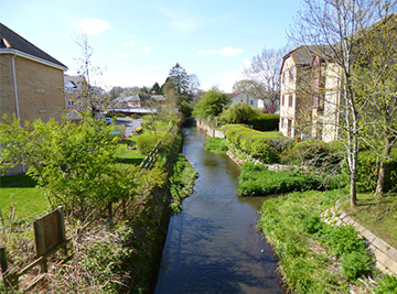 we cover Chandler's Ford