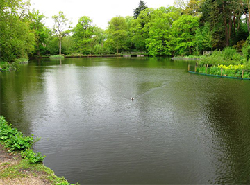 Preservation Solutions in Chandlers Ford