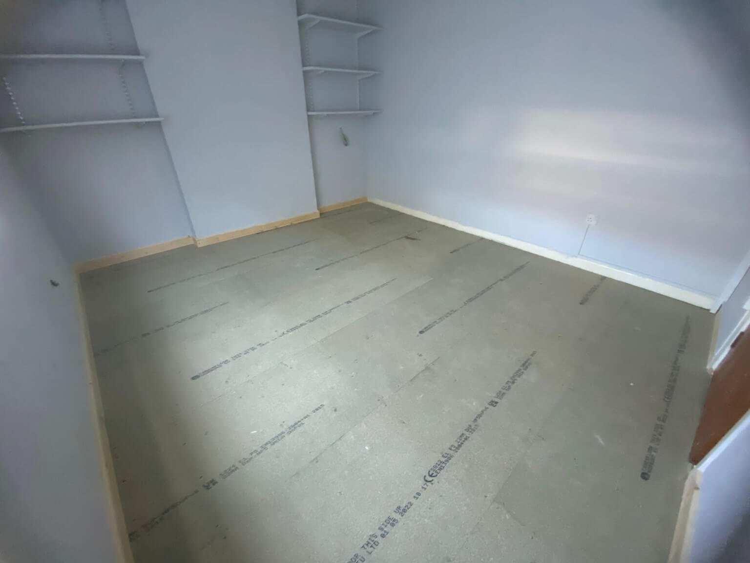 damp treatment Charminster