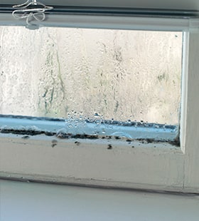 condensation damp example