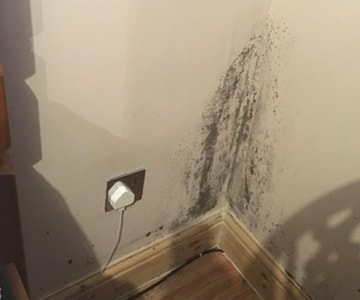condensation causes mould