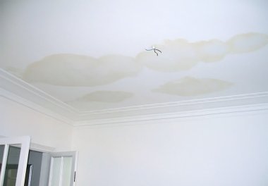 Does my insurance cover damp problems?