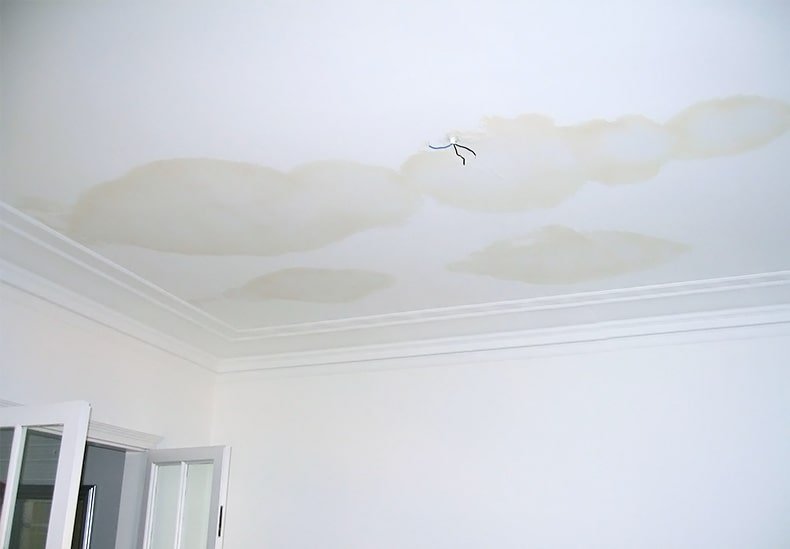 Does my insurance cover damp problems?