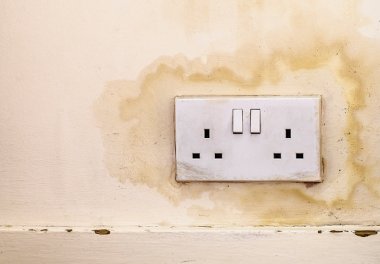 Study shows that two thirds of house hunters are put off by damp