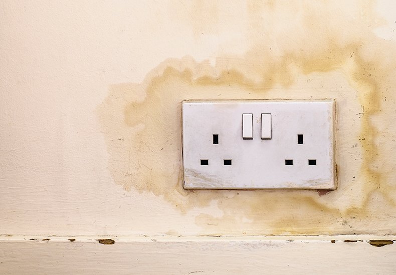 Study shows that two thirds of house hunters are put off by damp