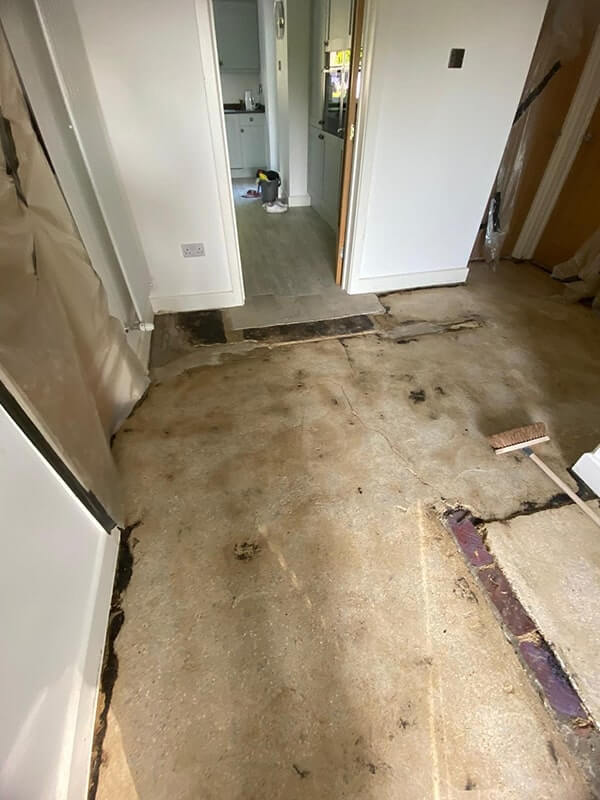 damp and rot treatment