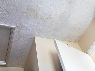 damp proofing service