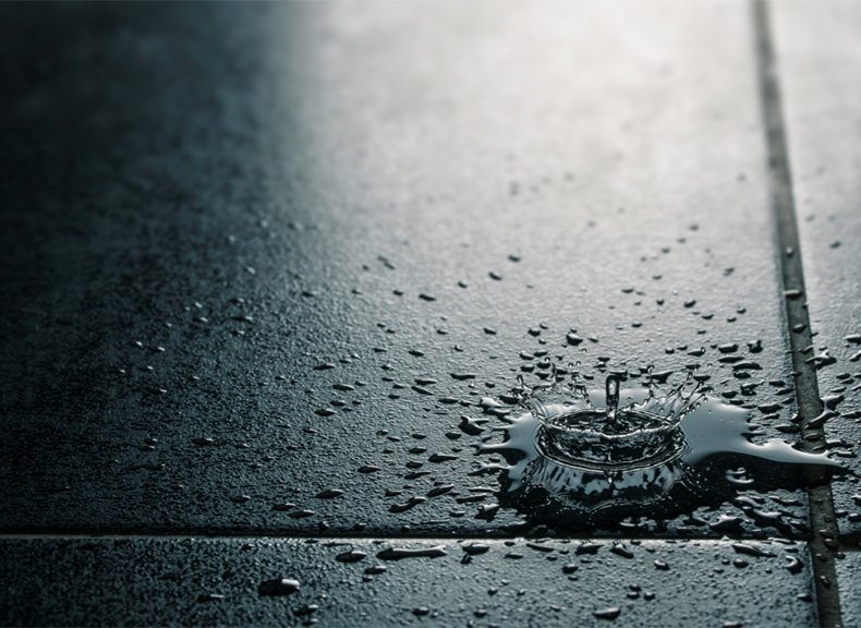 The Effects of Rising Damp in Your Home