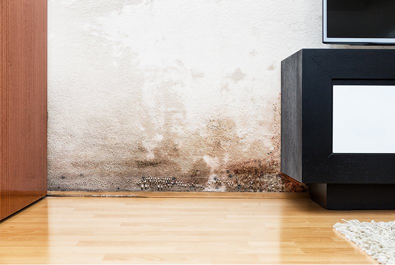 How to identify a damp problem in your home