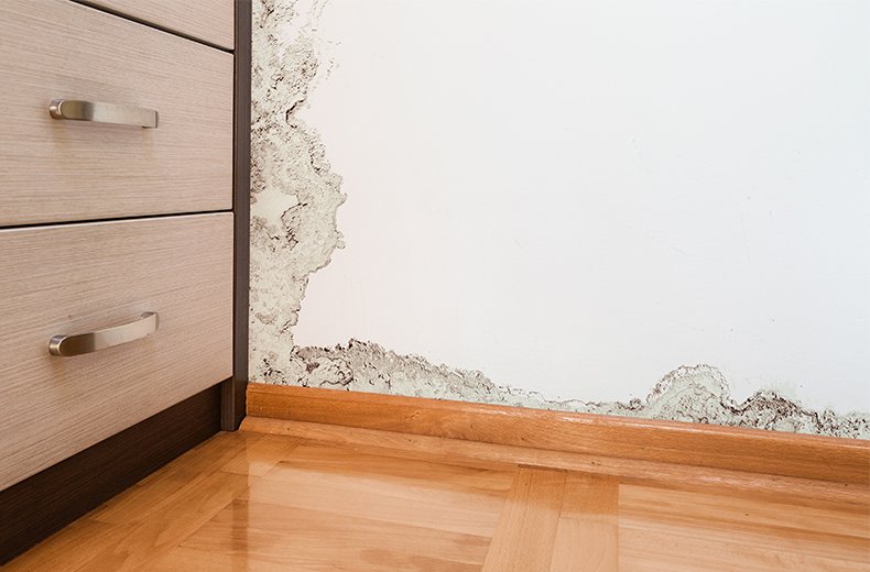 Why is a damp proof course important?