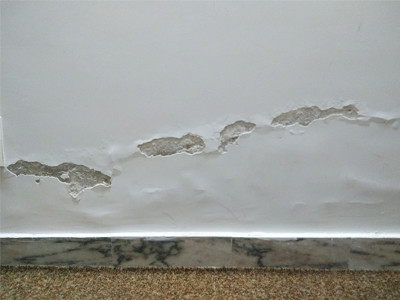 damp proof course repair Dorset