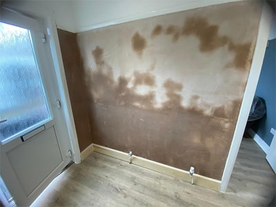 damp proofing specialists