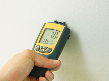 buying a house with damp problems