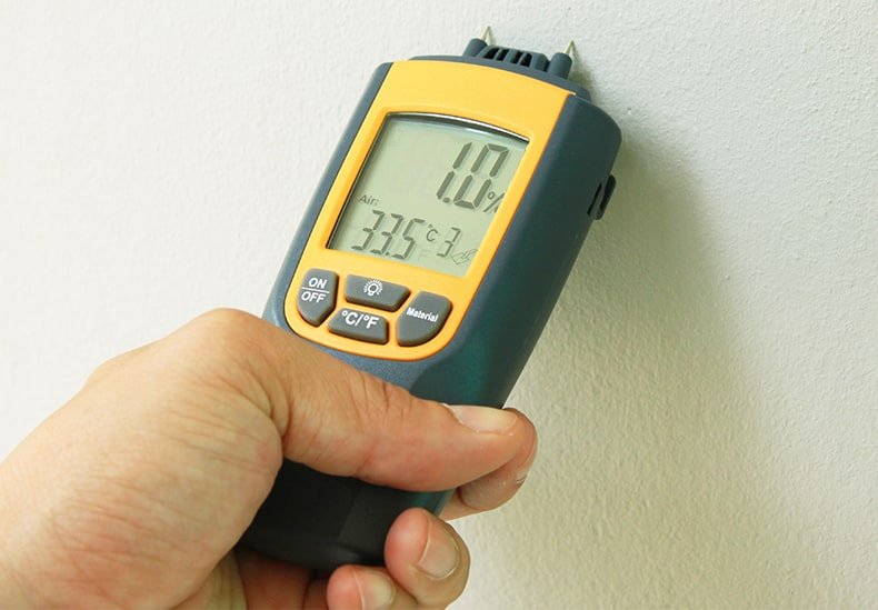 Why should I get a damp survey before buying a property?