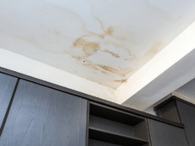 how to know when you have damp