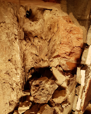 signs of dry rot