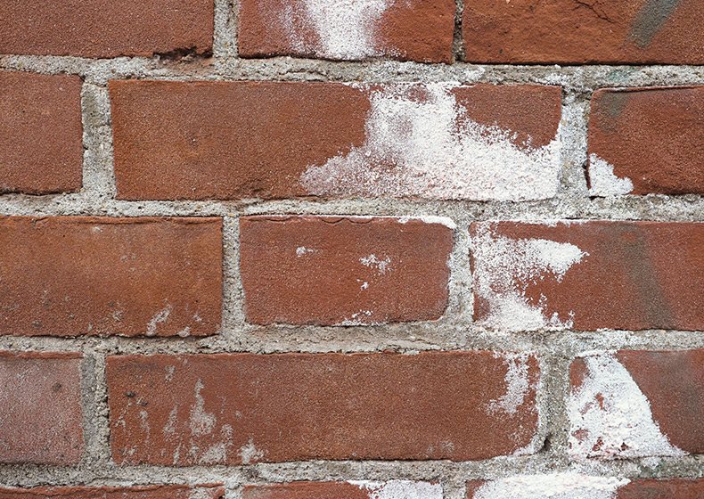 What is efflorescence?