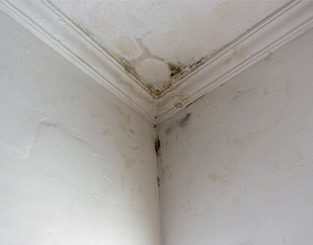 fixing penetrating damp