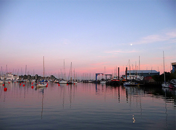 we cover Lymington