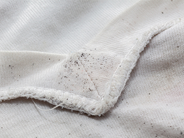 how to get rid of mould from clothes