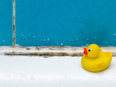 mould treatment hampshire