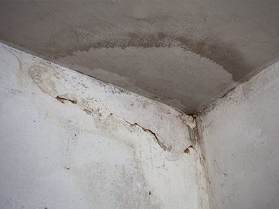 penetrating damp