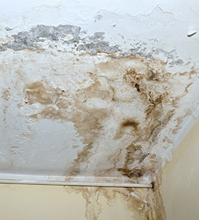 penetrating damp example