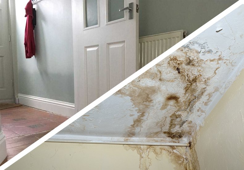 Rising damp or penetrating damp - what is the difference?