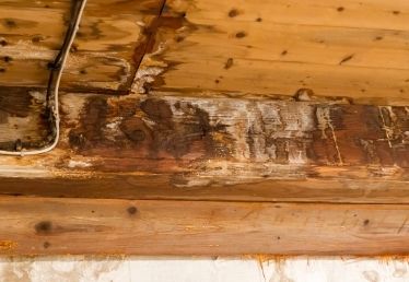 preventing wood rot