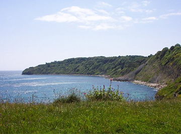 Preservation Services in Purbecks