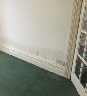 rising damp example