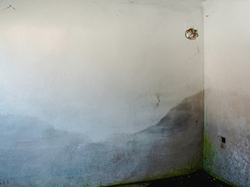 rising damp treatment