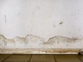 Types of damp explained