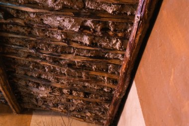 Wet vs Dry Rot - What's the Difference And Why It Matters