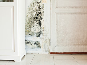 3 Reasons Damp Proofing is Important