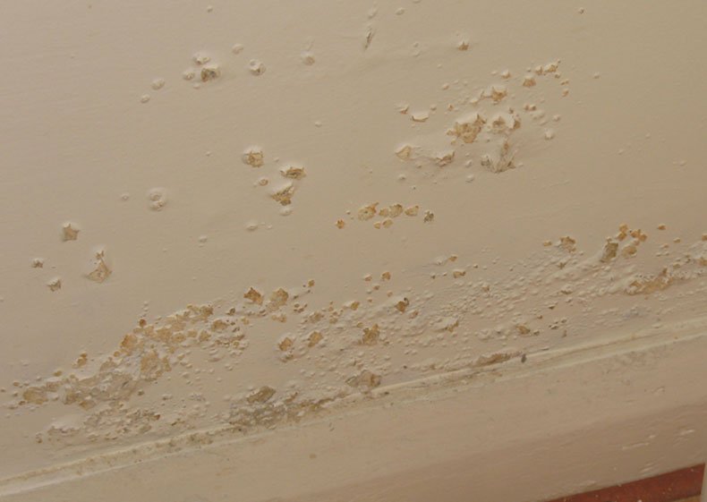 What type of damp is affecting my property?