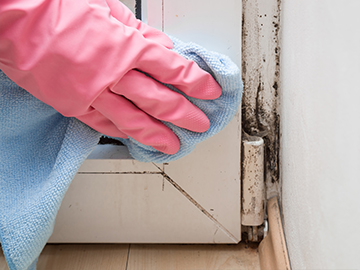 ways to add value to property