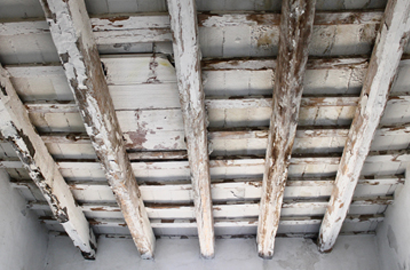 the difference between wet rot and dry rot