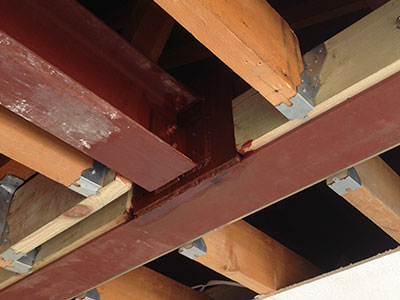 Woodworm Removal in Dorset